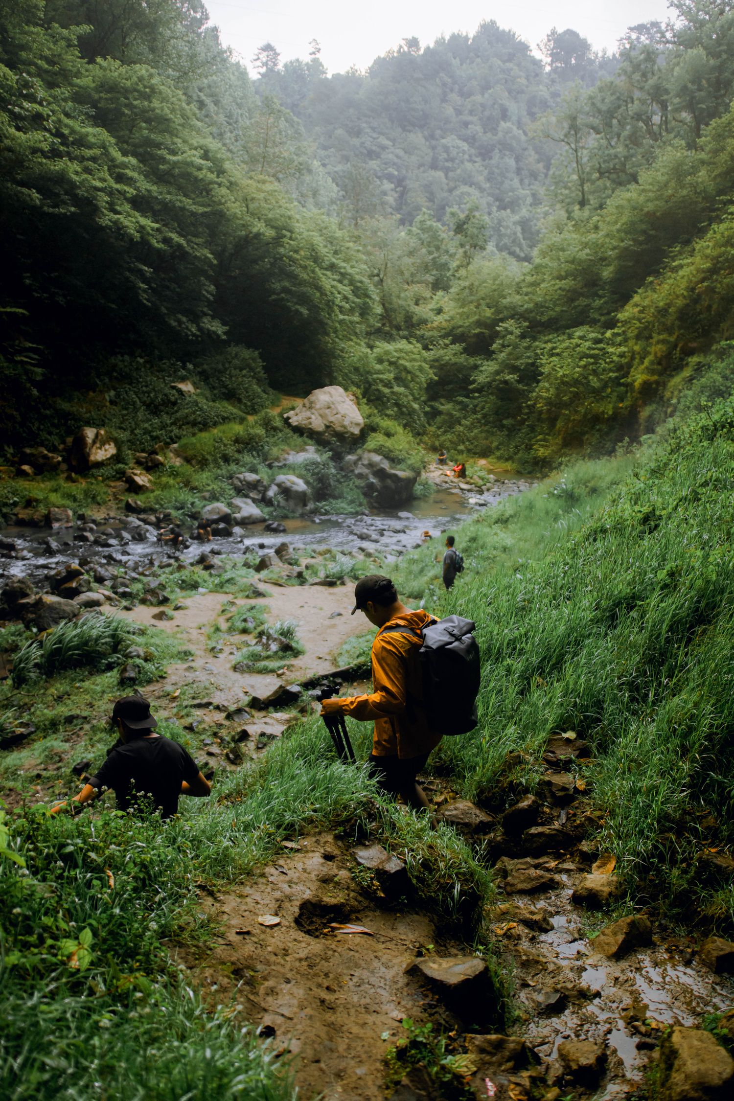 Hikers following a path through a green mountain valley