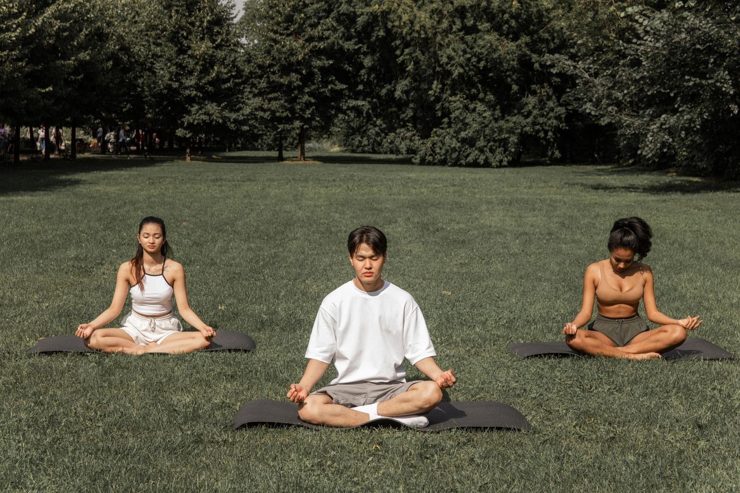 Three people seated on yoga mats in a park